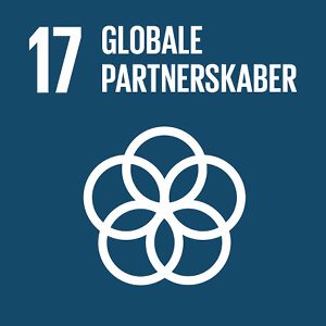 Globale partnerskaber