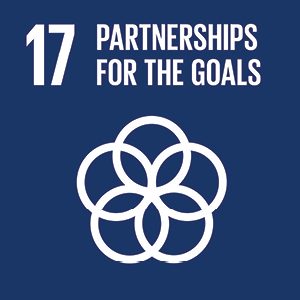 Partnerships for the goals