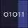 01011