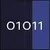 01011