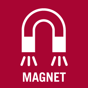 Magnet