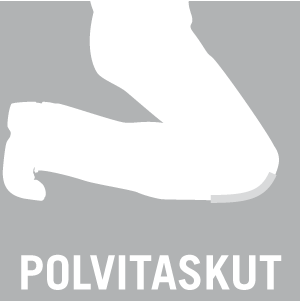 Polvitaskut