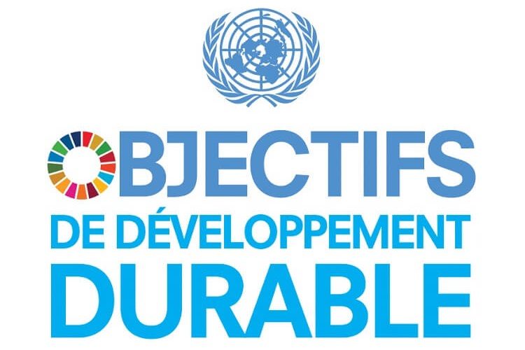 Les 17 objectifs de développement durable - logo