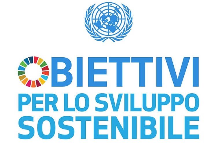I 17 obiettivi di sviluppo sostenibile - logo